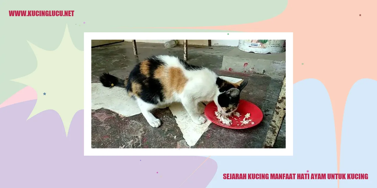 Sejarah Kucing: Keuntungan Hati Ayam bagi Kucing