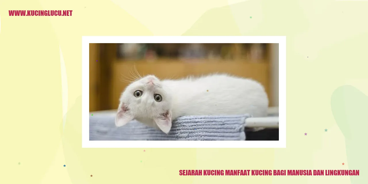 gambar kucing