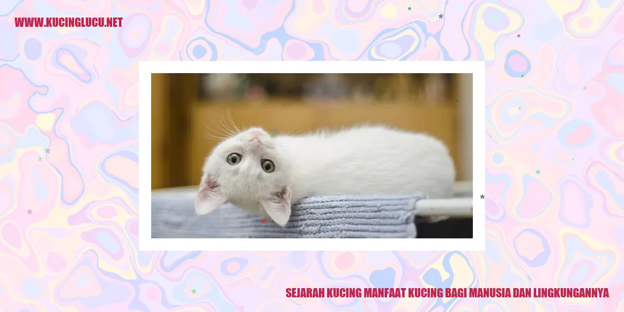 Gambar Kucing