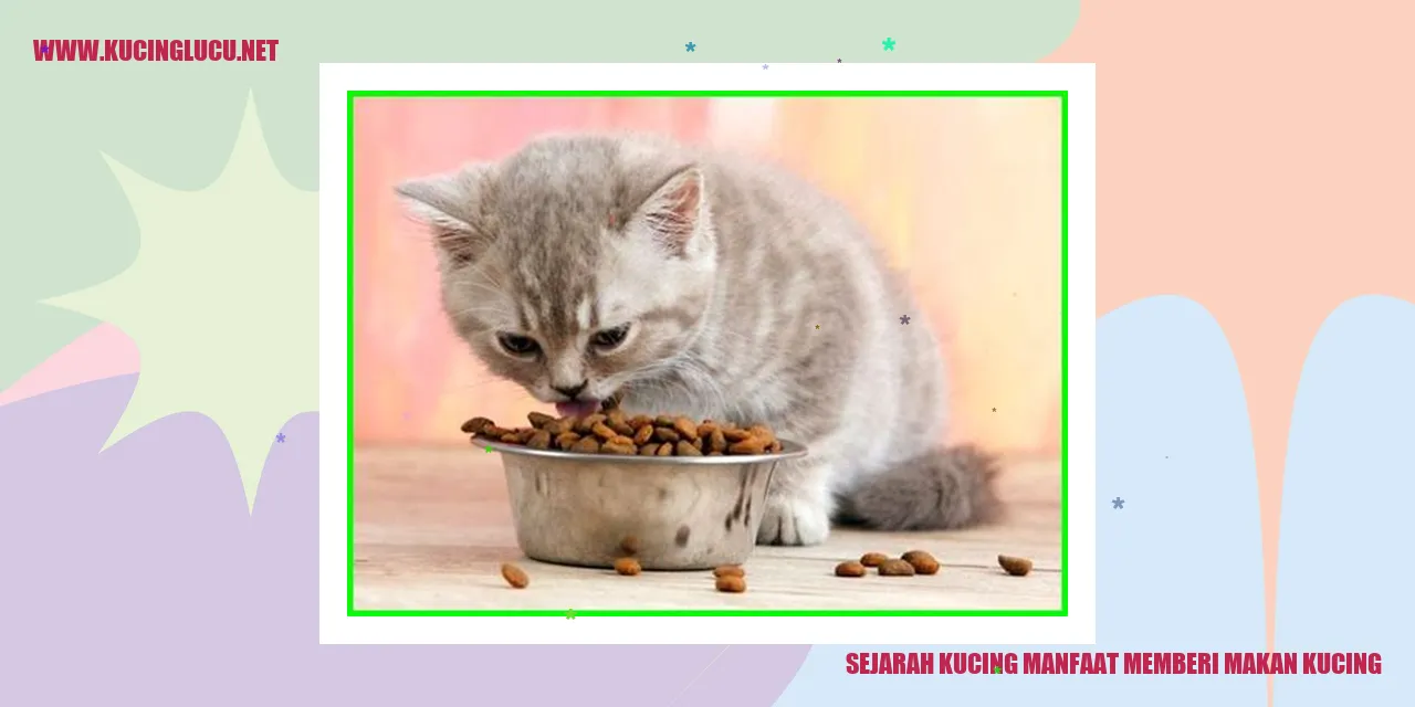 Gambar Kucing
