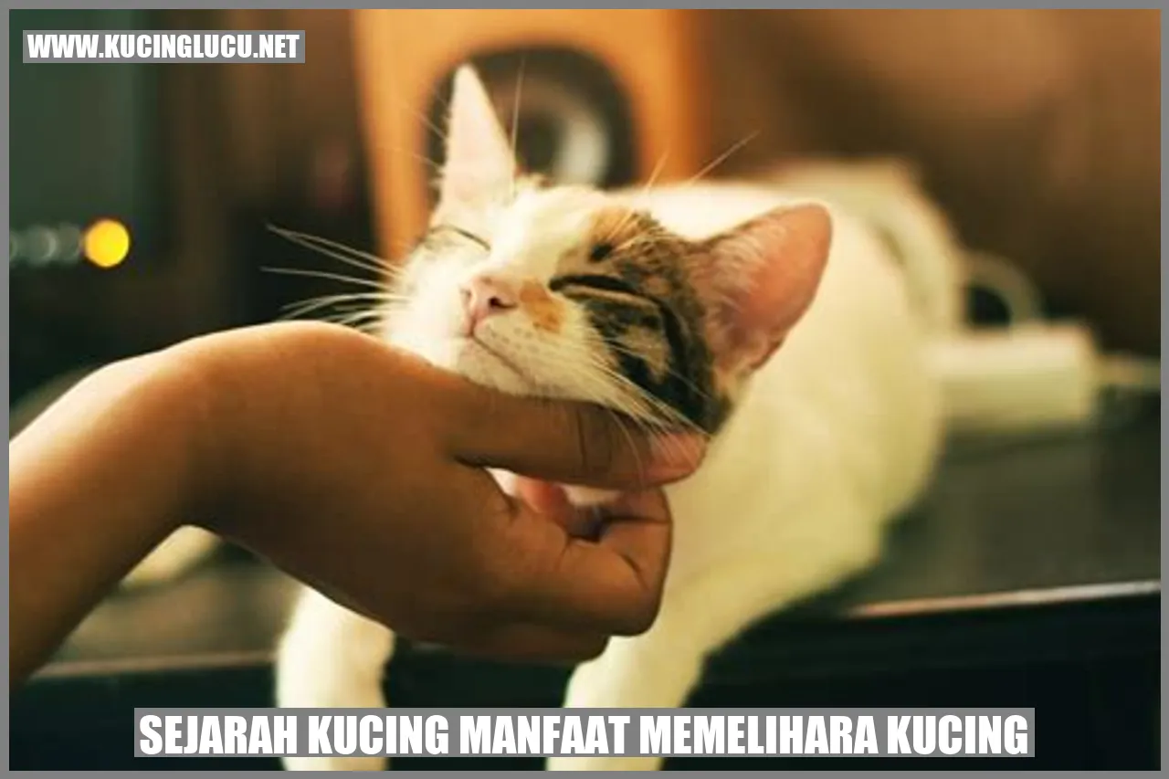 Sejarah Kucing dan Manfaat Memelihara Kucing