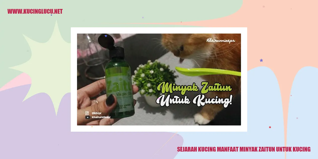 Kucing dengan bulu sehat dan berkilau