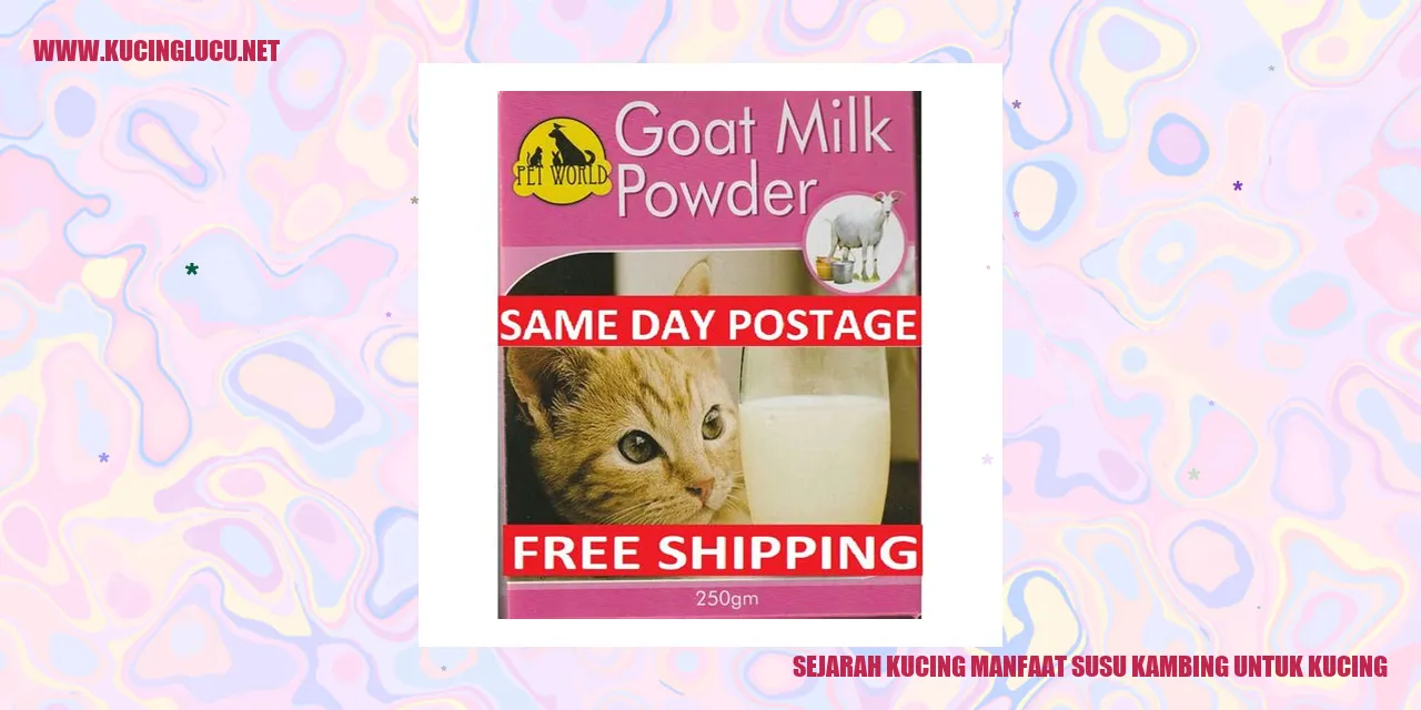 Gambar Kucing