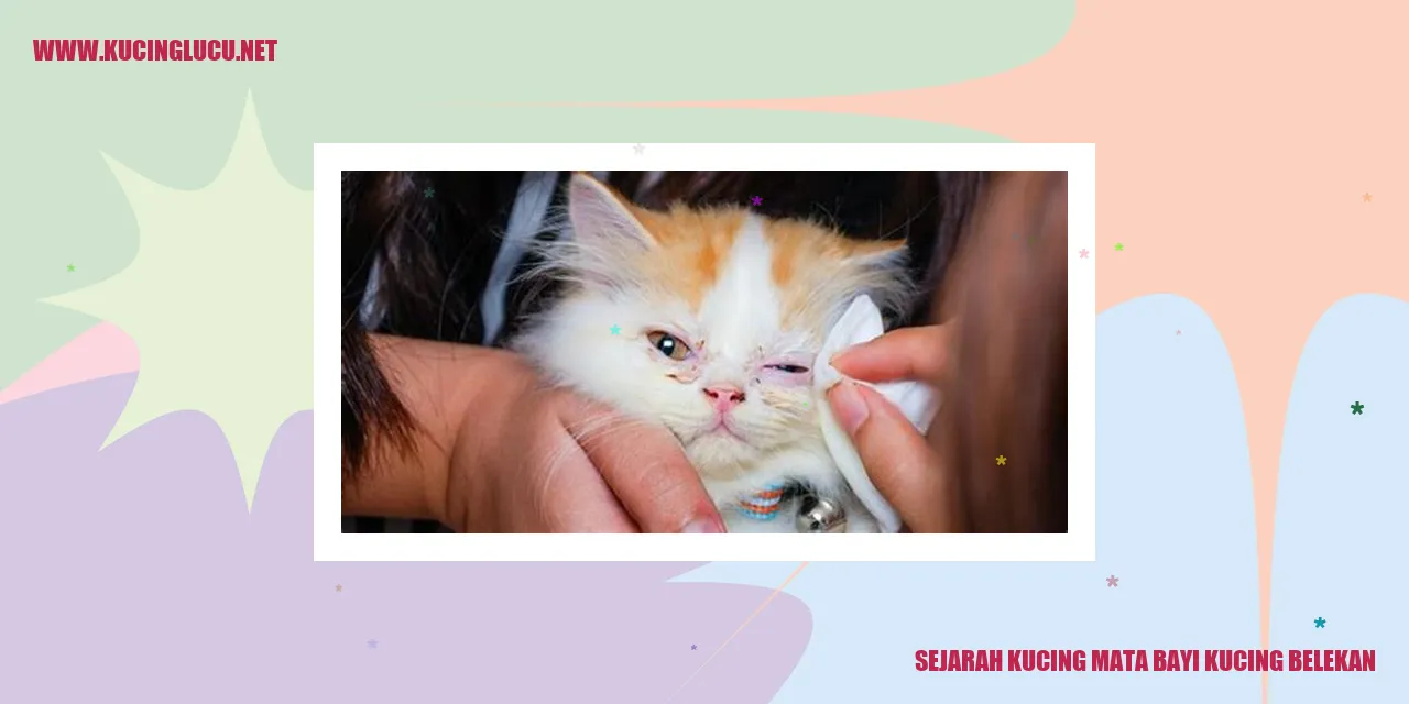 Kucing Mata Bayi Kucing Belekan