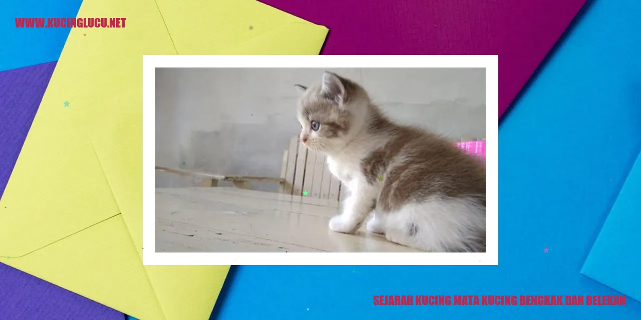 Kucing dengan mata bengkak dan belekan