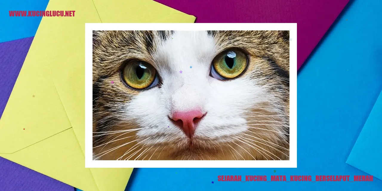 Sejarah Kucing Mata Kucing Berselaput Merah