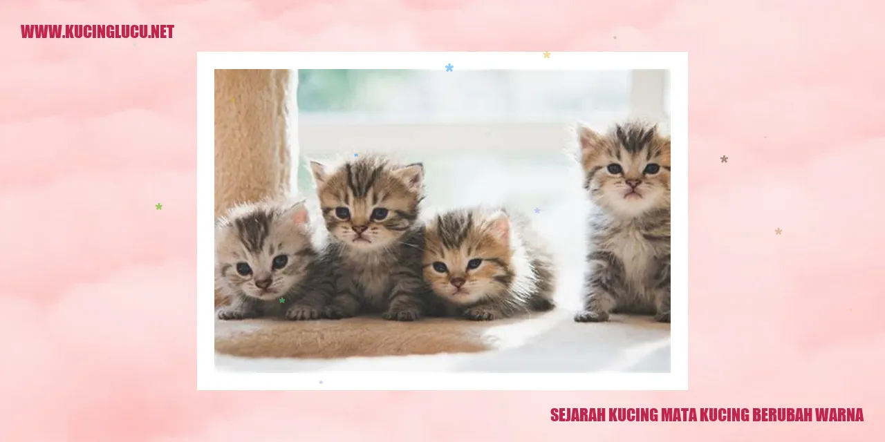 Kucing Mata Kucing Berubah Warna