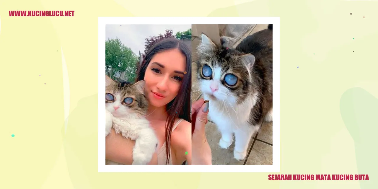 Gambar Kucing Mata Kucing Buta