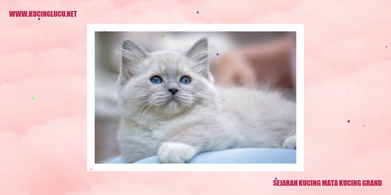 Sejarah Kucing Mata Kucing Grand