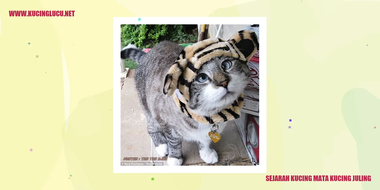 Kucing mata kucing juling