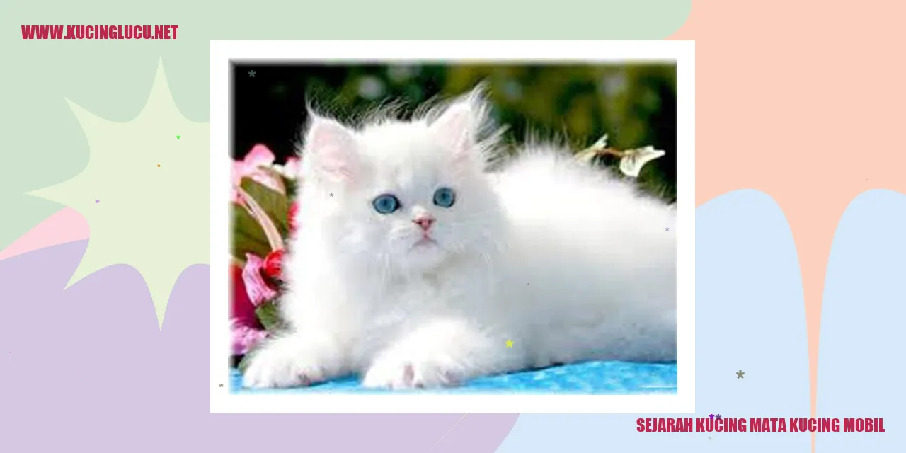 Foto Kucing Mata Kucing Mobil