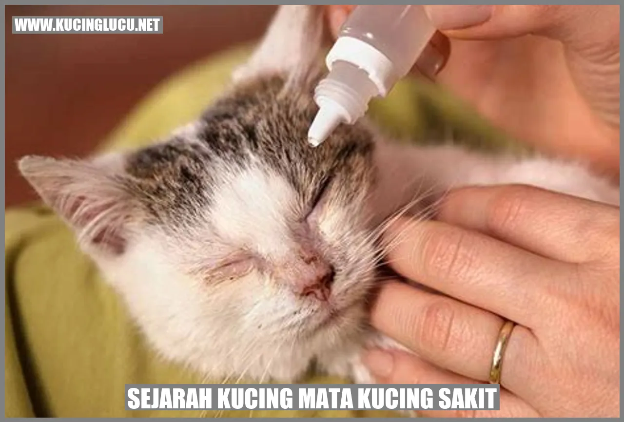 Sejarah Kucing mata kucing sakit