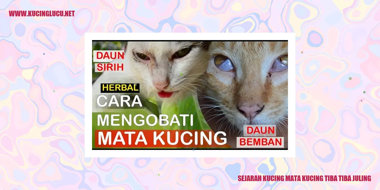 Gambar Kucing Mata Kucing Tiba-tiba Juling