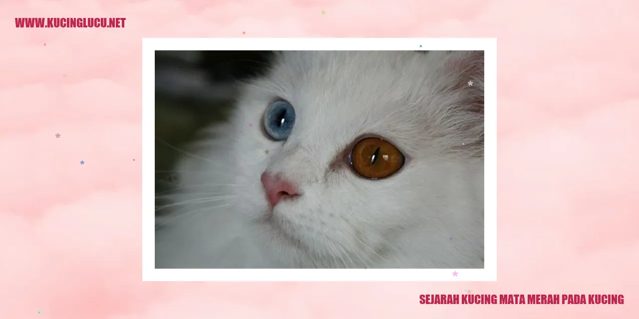Kucing dengan Mata Merah