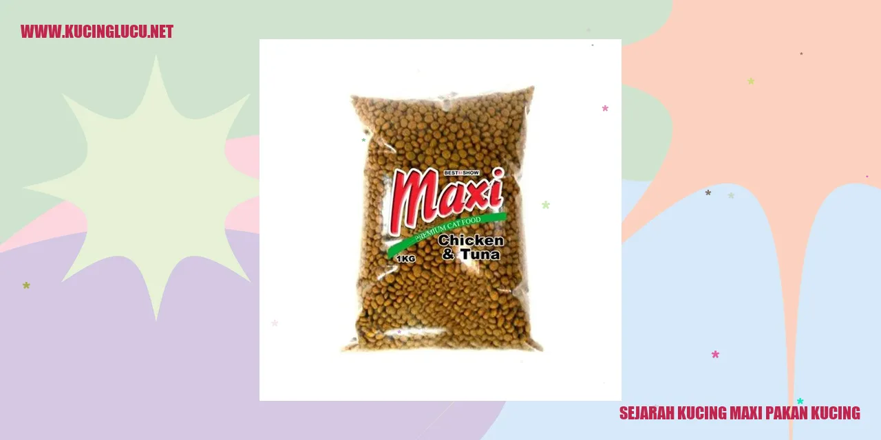 Gambar Kucing Maxi