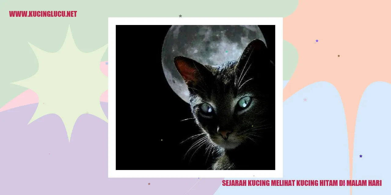 Gambar Kucing Hitam
