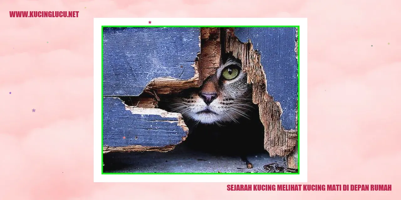 Ilustrasi Sejarah Kucing