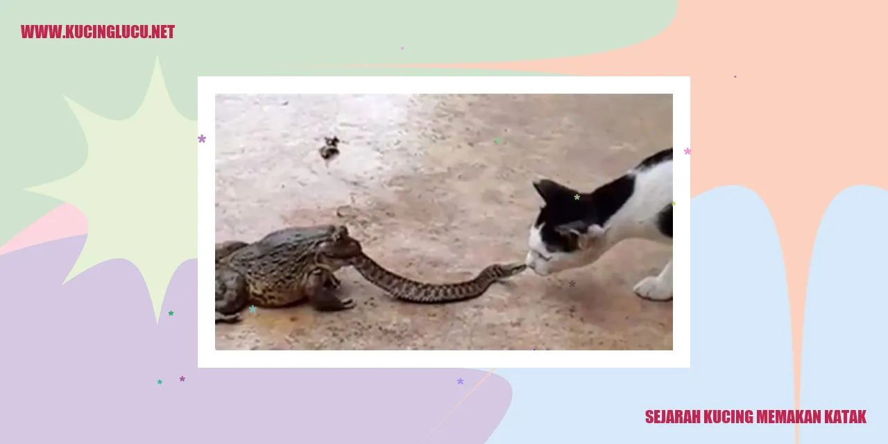 Ilustrasi Kucing Menyantap Katak