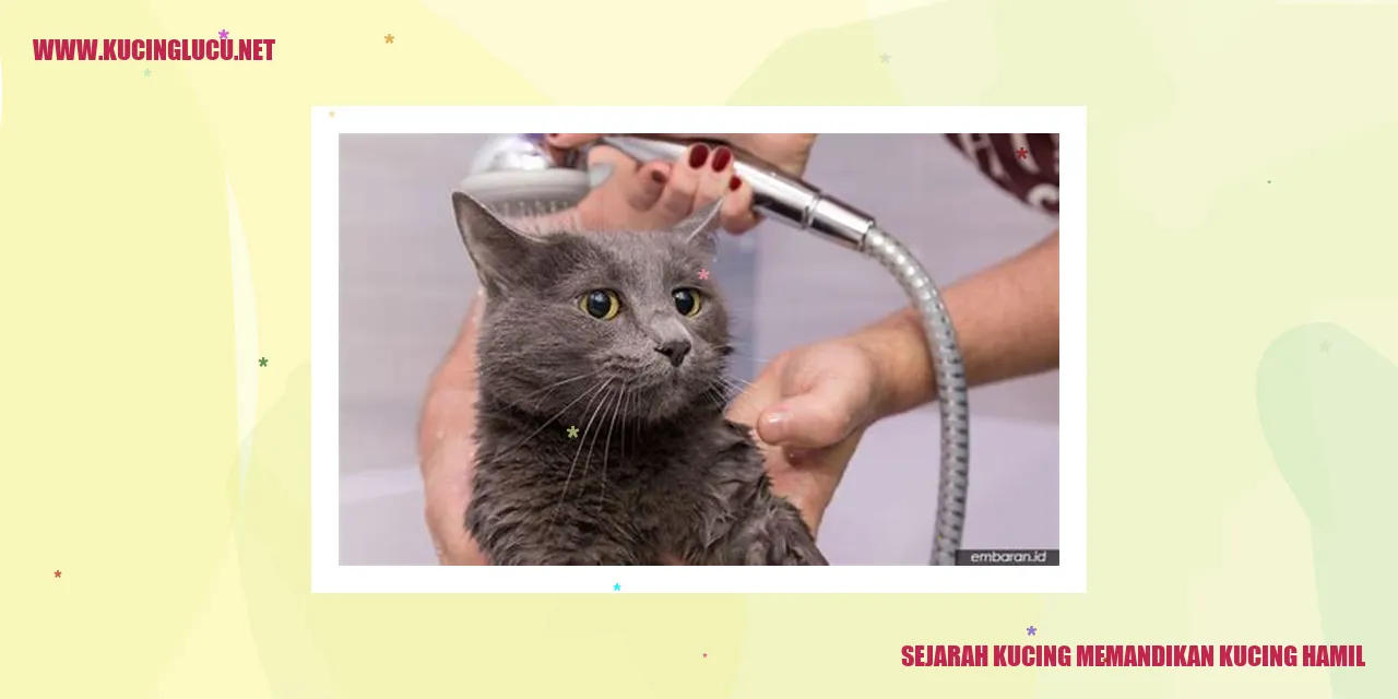 Sejarah Kucing Memandikan Kucing Hamil