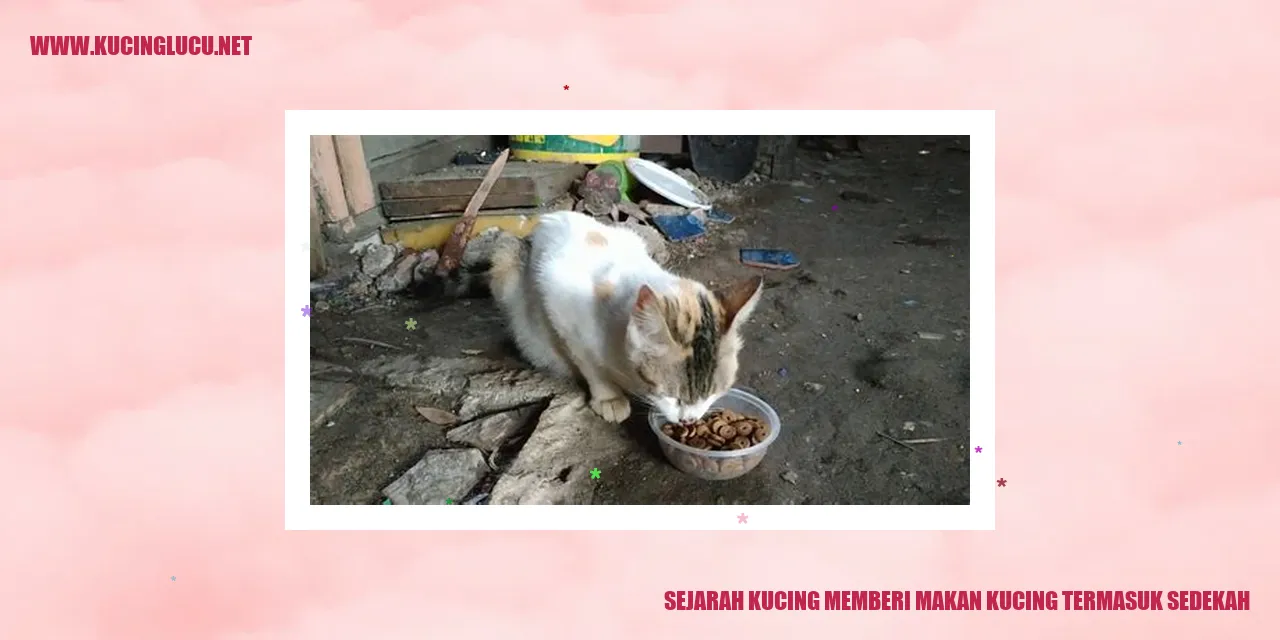 Gambar Kucing sedang diberi makan