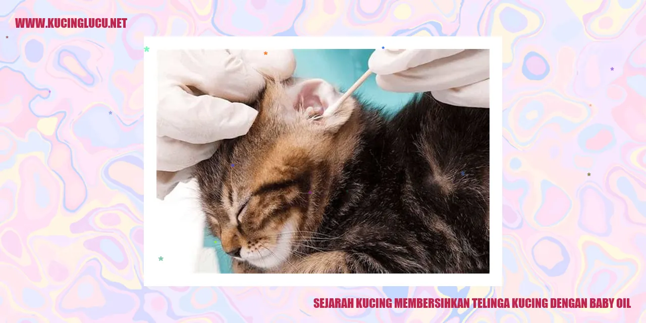 Telinga kucing yang dibersihkan dengan baby oil