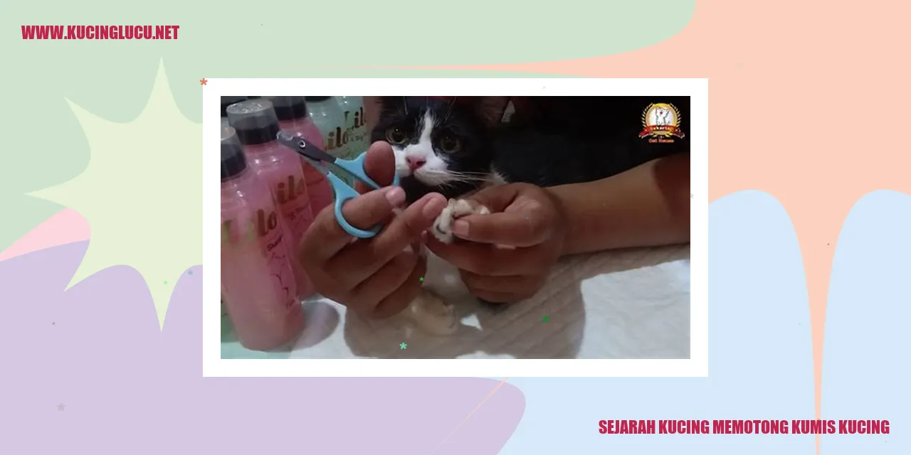 Sejarah Kumis Kucing yang Terputus