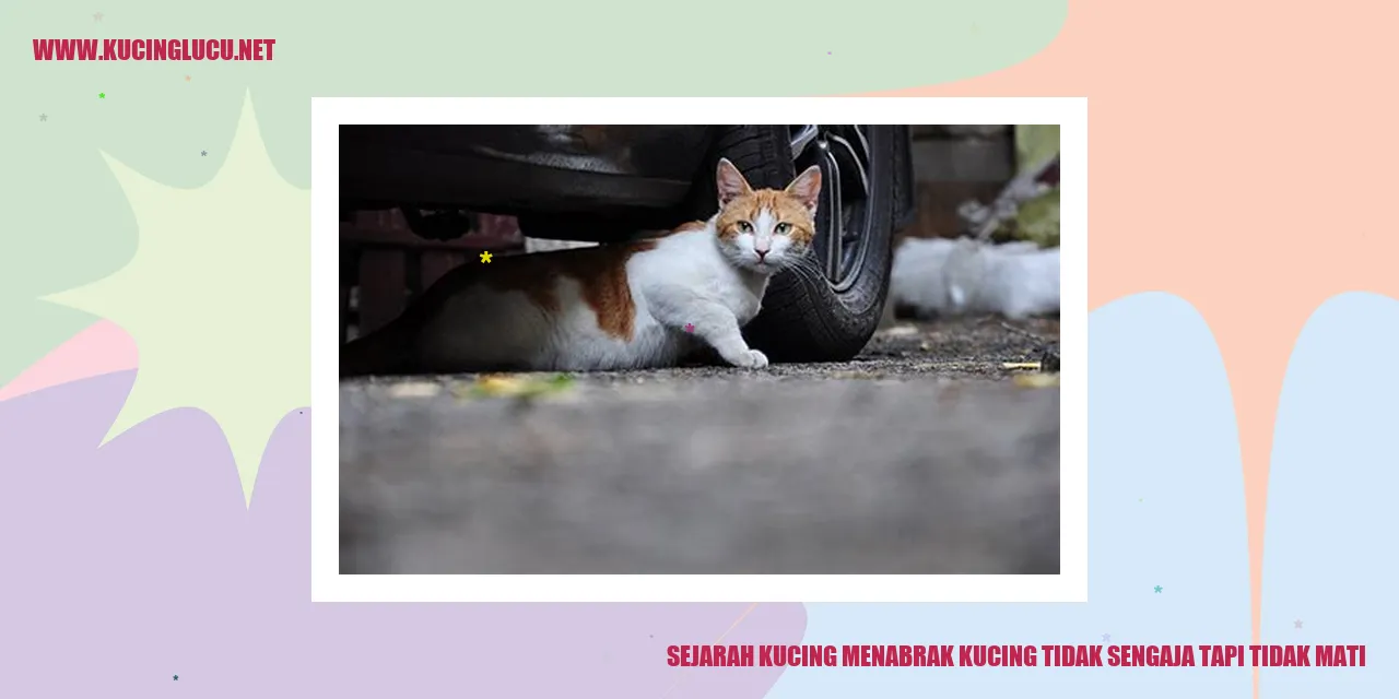 Sejarah Kucing Menabrak Kucing
