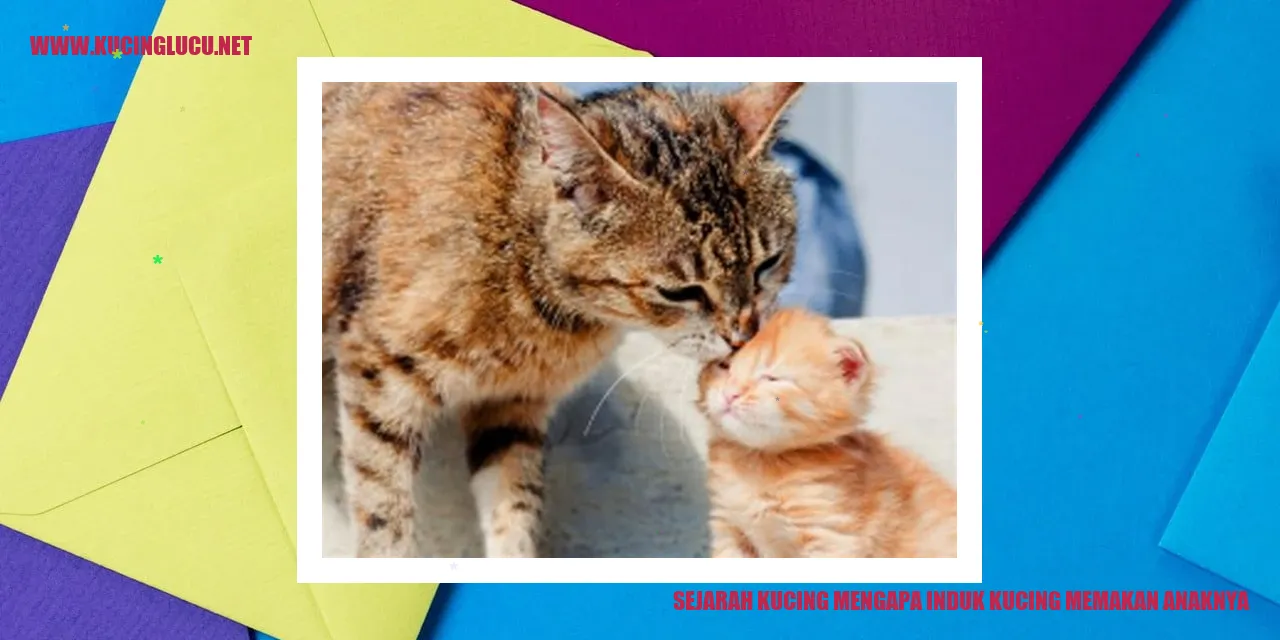 Kucing memakan anaknya