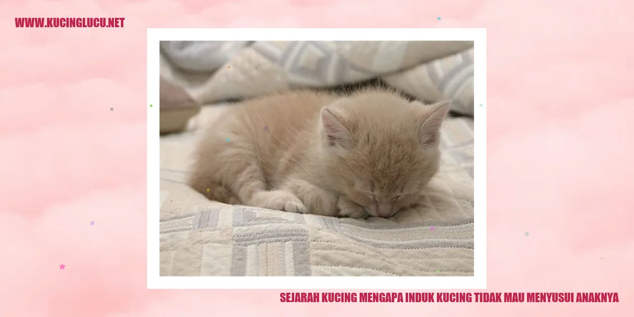 Sejarah Kucing: Mengapa Induk Kucing Ogah Menyusui Anaknya