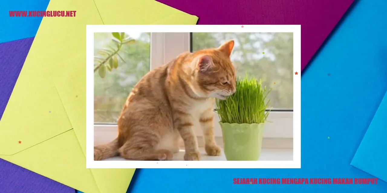 gambar kucing makan rumput