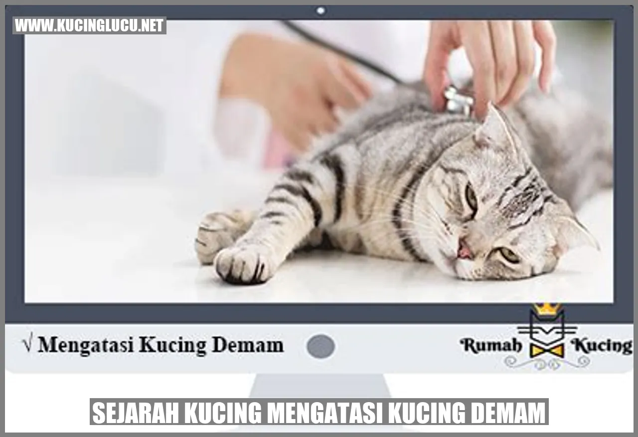 Sejarah Kucing Mengatasi Kucing Demam