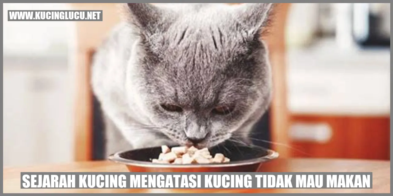 Sejarah Kucing Mengatasi Kucing Tidak Mau Makan