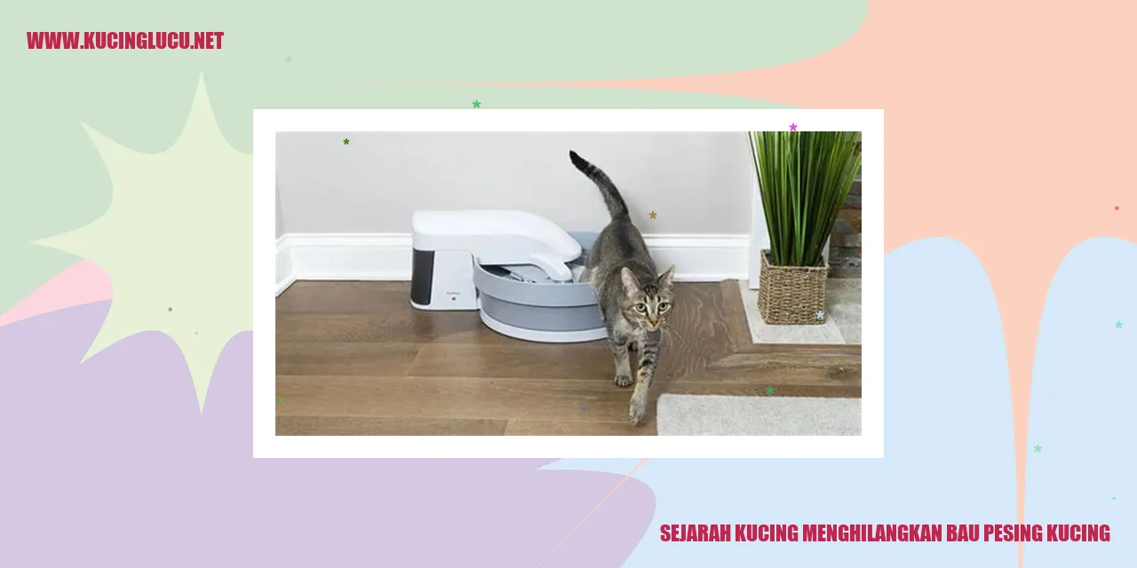Kucing Mengatasi Masalah Bau Tak Sedap pada Kucing