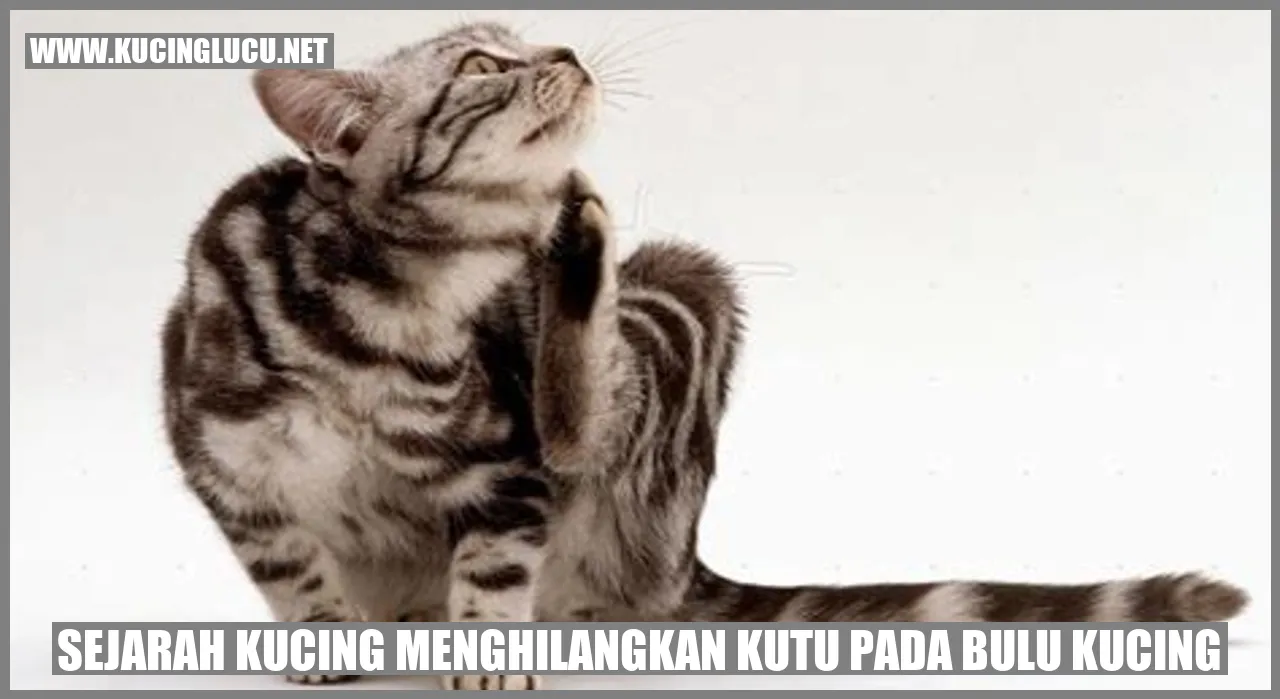 Ilustrasi kucing menghilangkan kutu