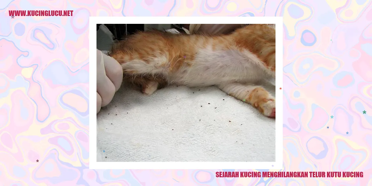 Gambar Sejarah Kucing Menghilangkan Telur Kutu Kucing