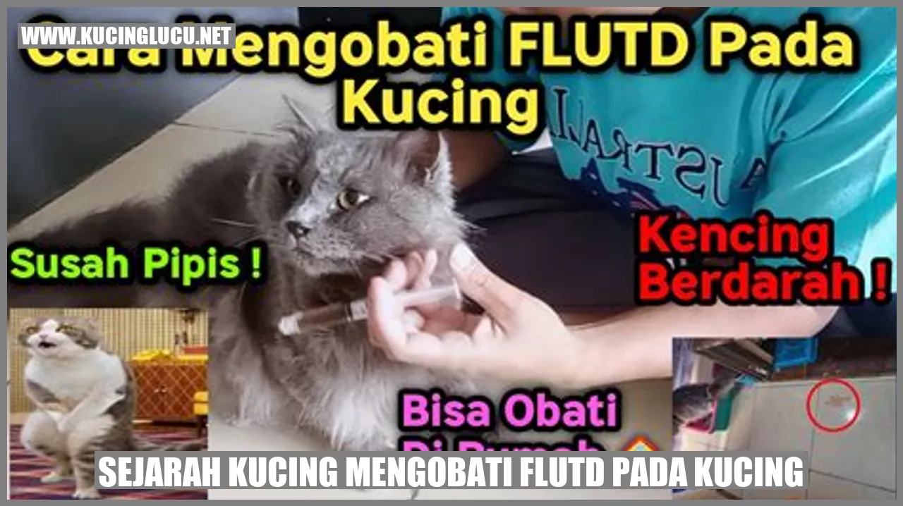 Gambar Kucing
