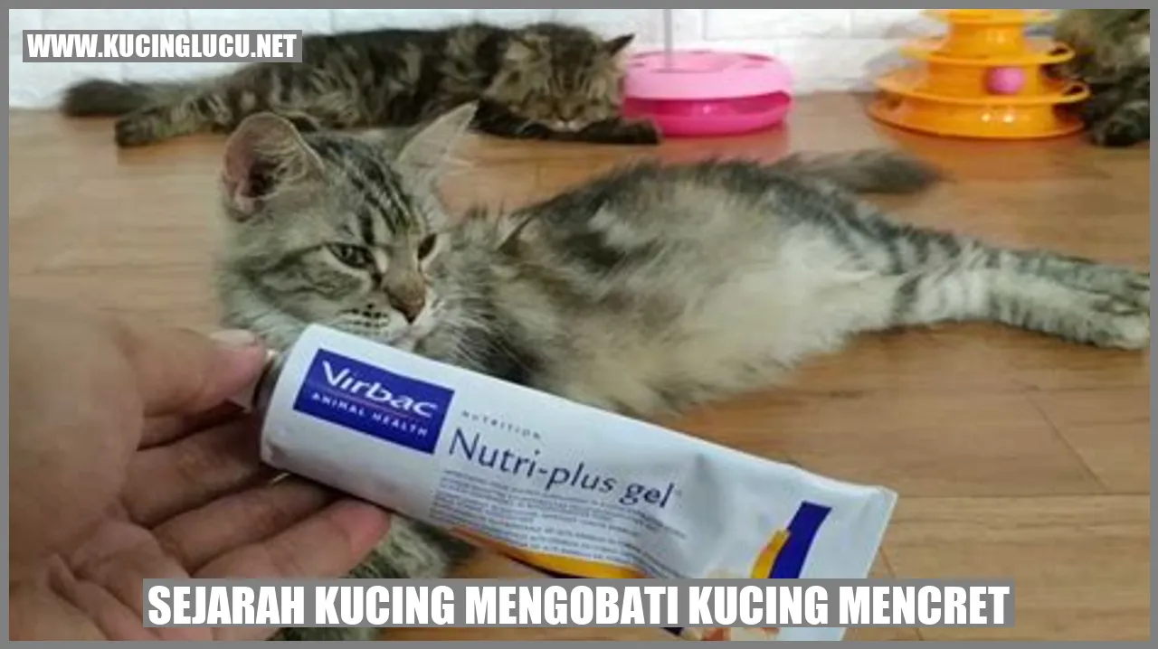 Sejarah Kucing mengobati kucing mencret