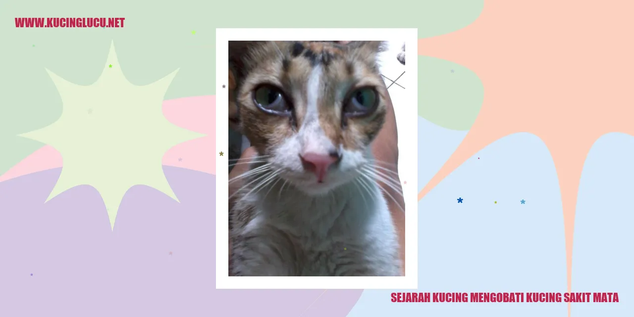 Sejarah Kucing Penyembuh Mata Kucing