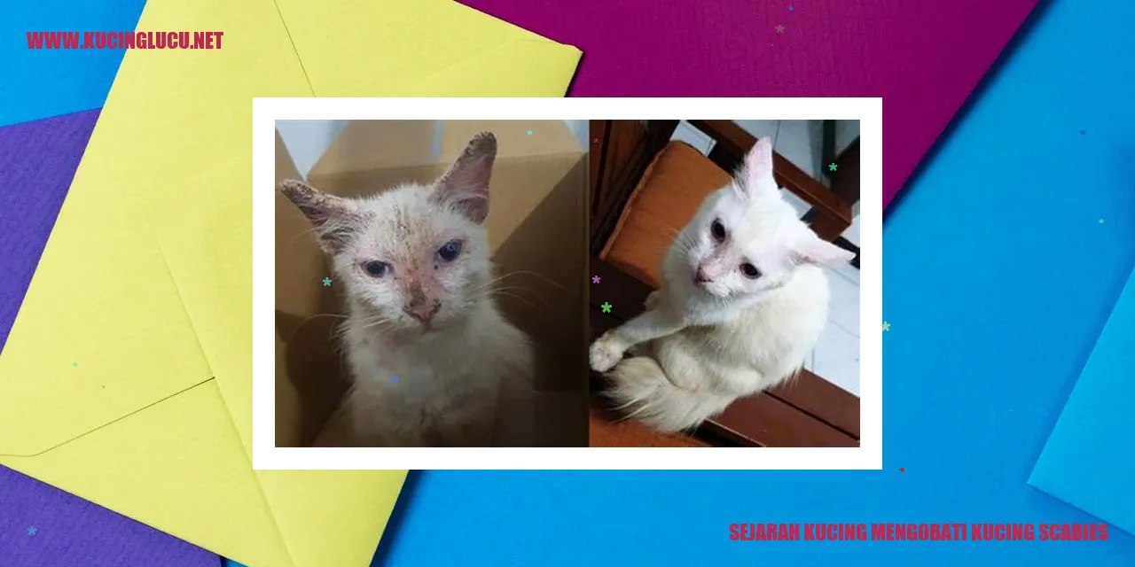 Gambar Kucing