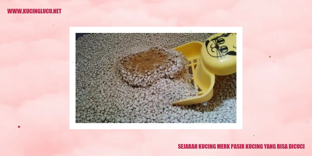 Pasir Kucing yang Dapat Dicuci