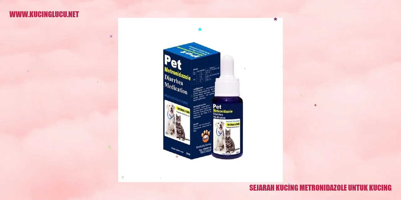 Gambar kucing