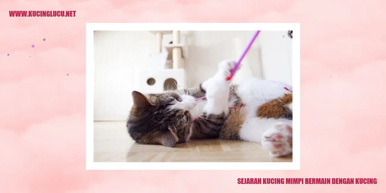 Gambar Sejarah Kucing Mimpi Bermain dengan Kucing