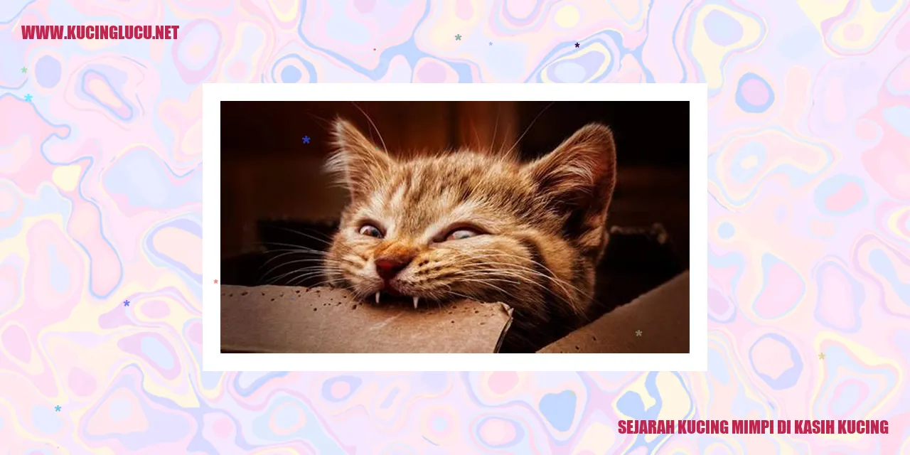 Ilustrasi kucing mimpi dan kucing sungguhan