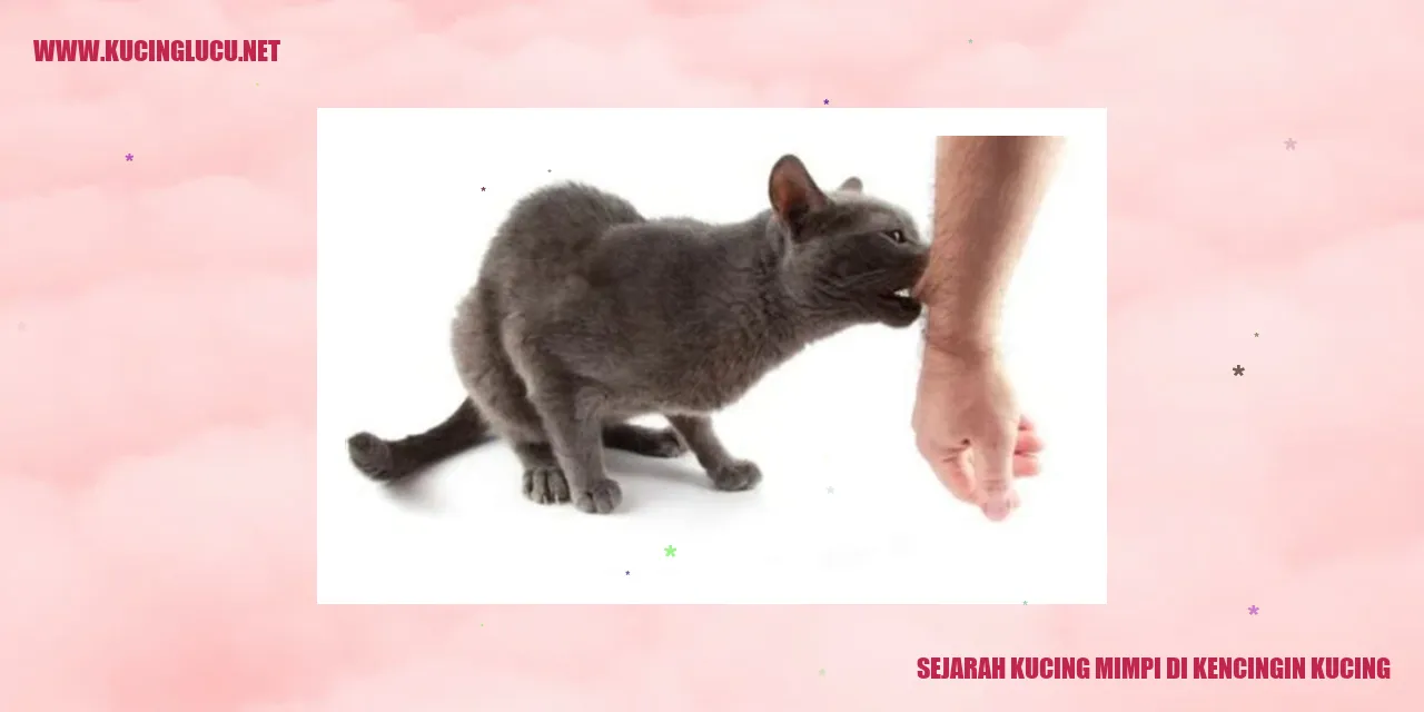 Gambar Sejarah Kucing mimpi di kencingin kucing