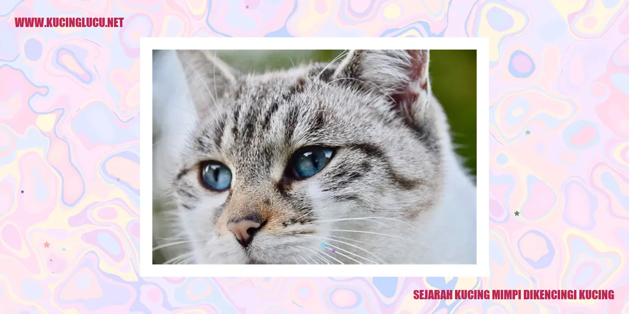 Kucing mimpi dikencingi kucing