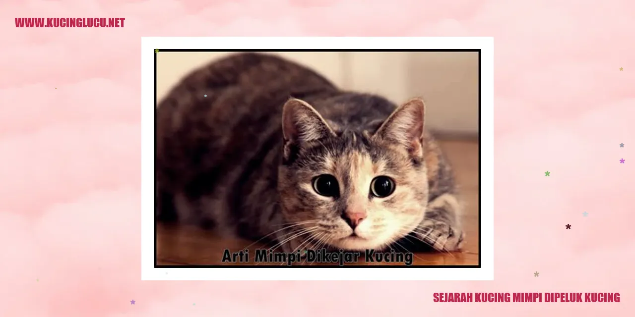 Kucing mimpi dipeluk kucing