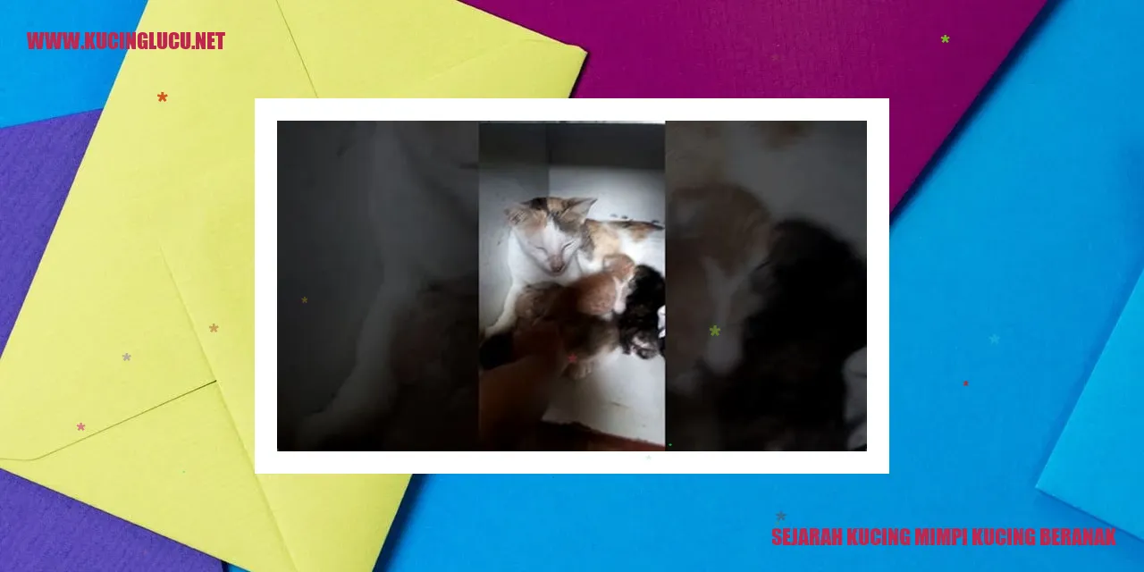 gambar kucing mimpi kucing beranak