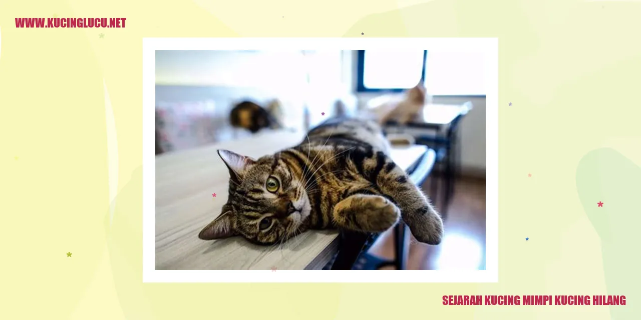 Sejarah Kucing mimpi kucing hilang