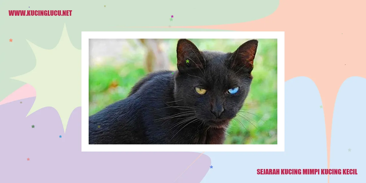 Gambar Kucing Mimpi Kucing Kecil