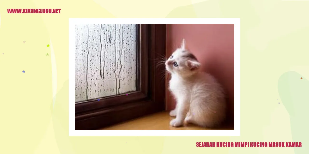 Gambar Kucing Mysterious
